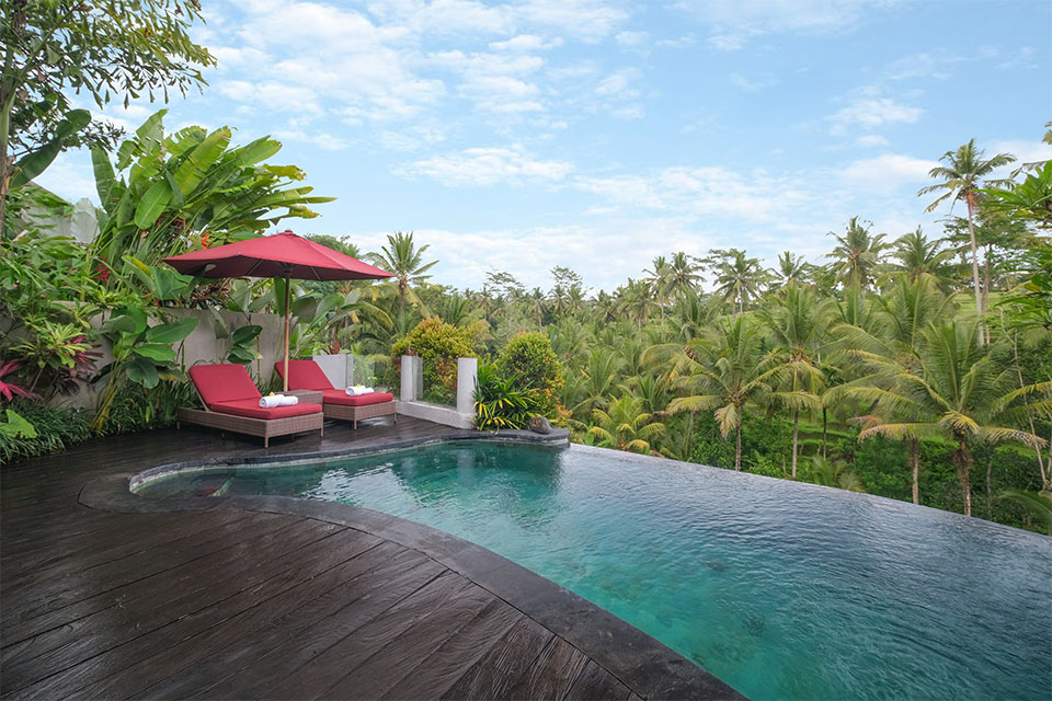 One Bedroom Royal Pool with Rice Terrace View